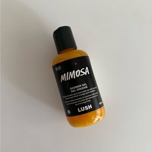 LUSH Citrus Burst Shower Gel